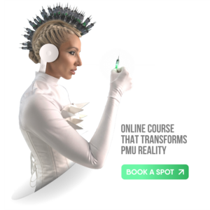 CSHMR Brows Advanced with Mentoring (1299) - 500 (Special)